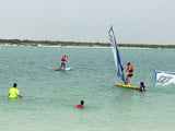 Windsurf instructor with student